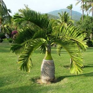 Meet your Posher, Cathy